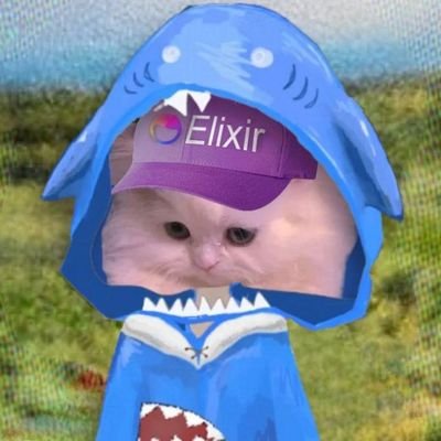 Cutiebabydiaper's profile picture. the chupa chups clips in my fur i got in a pack of sweeties