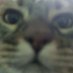 Jair (@jair_delasancha) Twitter profile photo Jair (@jair_delasancha) Twitter profile photo