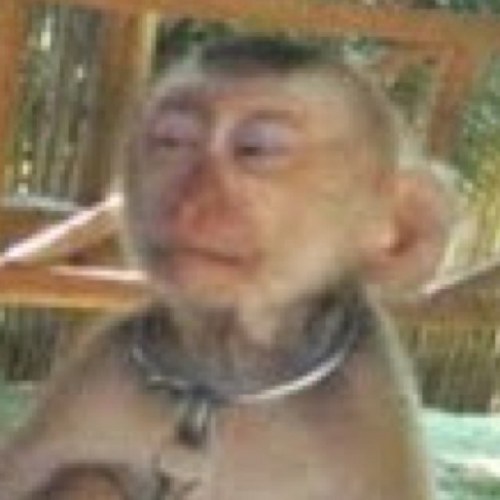 JoseMa_MD's profile picture. 