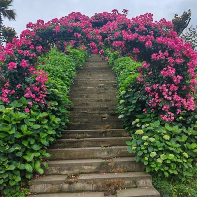 sngdndn1262605's profile picture. 爱运动爱生活