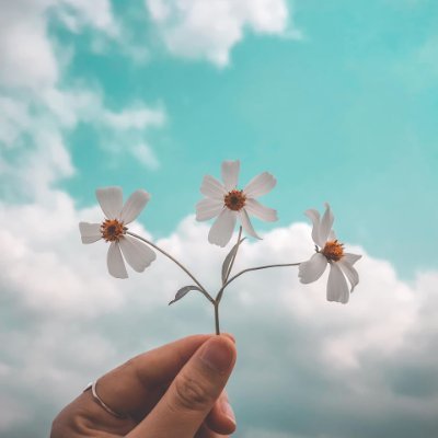 campobass13's profile picture. 