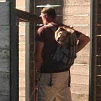 Matt (@matthew10391578) 's Twitter Profile