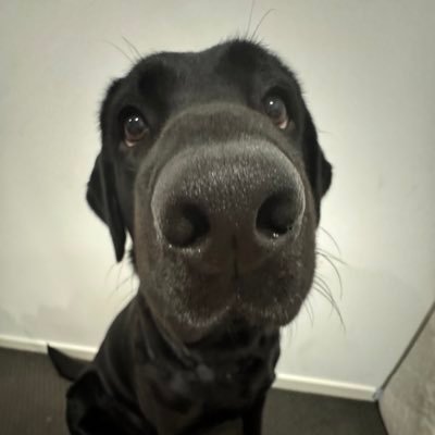 Angelo