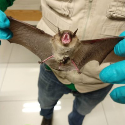 7deagostode1913's profile picture. 