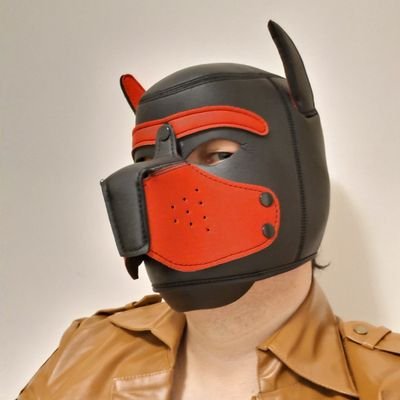 Cosplayer. Fet/Yaoi SPC5. Slave/Sub. Pup/Pony play, Rubber, Latex, Leather, Chastity, Hazmat, Masks. You name it, I want it. NSFW, exclusively 18+ acc. 🏳️🌈