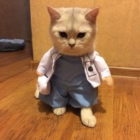 Reema🩺 (@rn80x) 's Twitter Profile