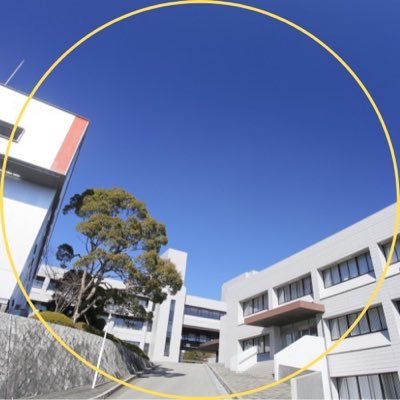 koshienuniv's profile picture. 甲子園大学公式アカウントです。