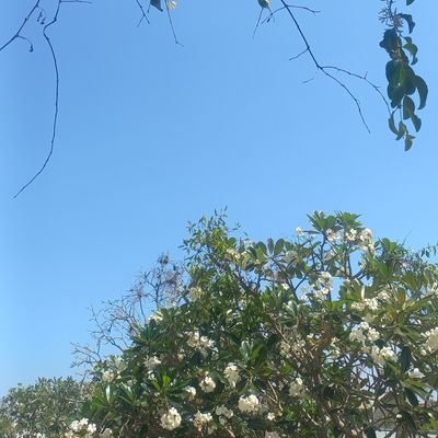 val_asp's profile picture. 