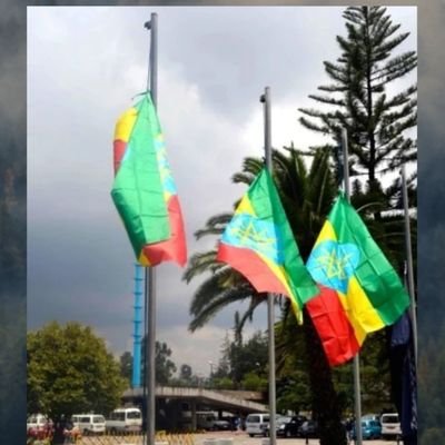 251Lazarus's profile picture. 