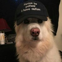 nick (@nickwgmi) 's Twitter Profile