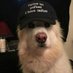 nick (@nickwgmi) Twitter profile photo nick (@nickwgmi) Twitter profile photo