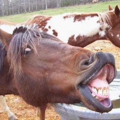 TahomeIzwah's profile picture. 