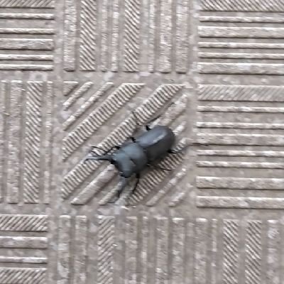 V2NFificsPjrsep's profile picture. 