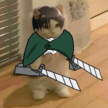 beyzaac26's profile picture. Valorant, CS & Attack on Titan lover, drawer.