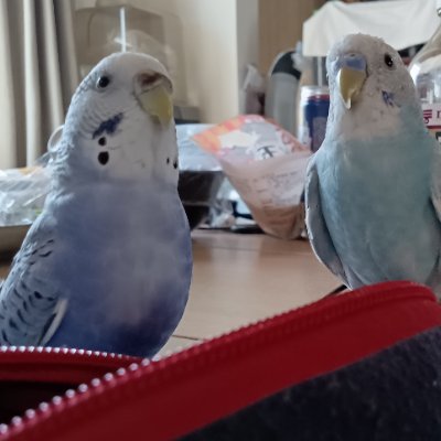 anq2ys's profile picture. 