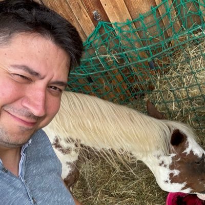 Bjoern7's profile picture. 