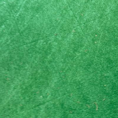 FactCheckCF's profile picture. 