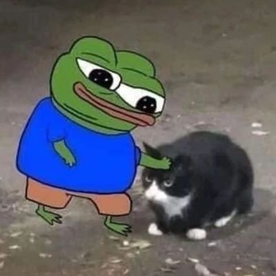 Nawrocik33's profile picture. Fan Piotra Stokowca