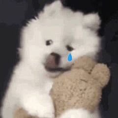 1Yeliangchen's profile picture. 🌿