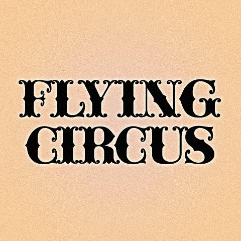 CircusFlying's profile picture. A global series of absurdly fun underground dance music experiences. Founded by @AudioflyMusic, @DiegoMartinelli and Heiko in 2005. We Love People.