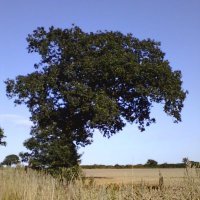 H Stiles (@hstiles1) 's Twitter Profile Photo