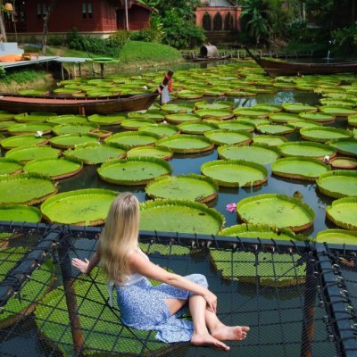 Don't wait for the perfect moment, take the moment and make it perfect.