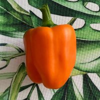 oopscene (@oopscene) 's Twitter Profile