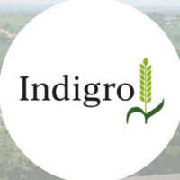 Indigro (@indigro1) 's Twitter Profile