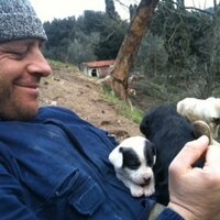 marco grisantelli (@marcogrisantell) 's Twitter Profile Photo