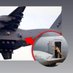 Kemasdari (Plane/Airplane) (@kemasadri) Twitter profile photo Kemasdari (Plane/Airplane) (@kemasadri) Twitter profile photo