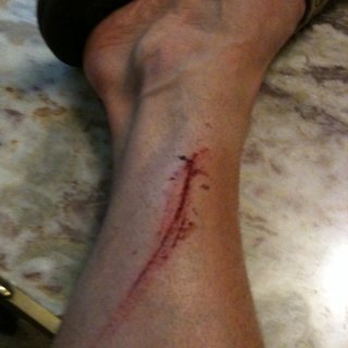 gogmeistergen's profile picture. Disabled triathlete, does a bit of flying.