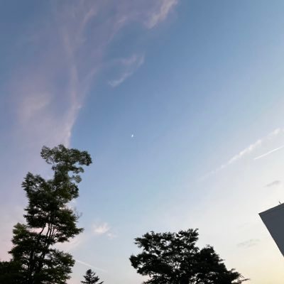 syukatsu_syoku's profile picture. 終活