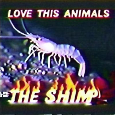 Panabetic's profile picture. autistic jazz shaman