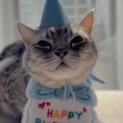 amesholve's profile picture. 12歳のアメショの男の子です🐱元気で長生きしてほしいです✨ずっーと一緒にいたいけどサラリーマン👩‍💼なので毎日通勤します。将来の夢は猫仕様の家でリモートワーク生活したい🏠