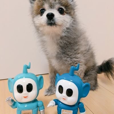 𝕘𝕚𝕫𝕞𝕠𝕟さんのプロフィール画像