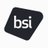BSI America Professional Services, Inc.