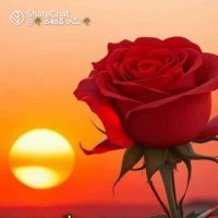 sathya (@laddu6979) 's Twitter Profile