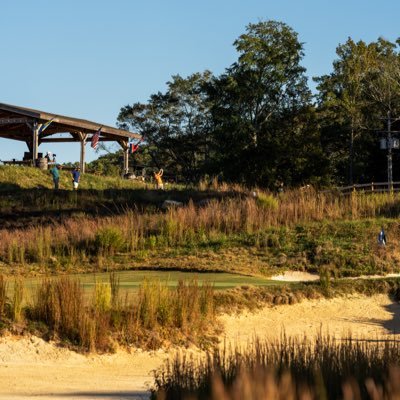 benmil14's profile picture. ⚔️ 🦉