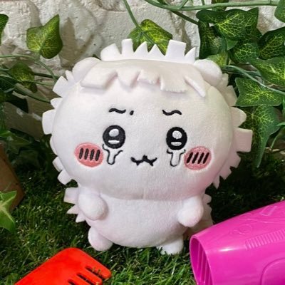mikuriさんのプロフィール画像