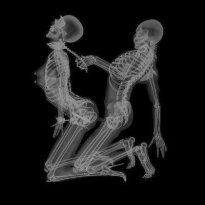 huang80782's profile picture. 