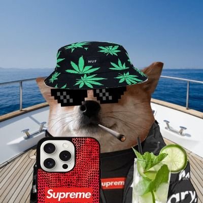 Seek__n_Destroy's profile picture. $selfie millionaire 🐶🤳

future millionaire