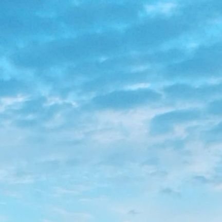 yanrurongl62938's profile picture. 