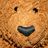 Roger Bear - @rogerthebear1 - Twitter