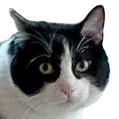 BeerThePerson's profile picture. i post cats and beers