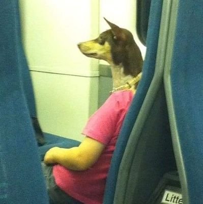 Zecko2577's profile picture. 