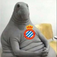 RCD Espanyol (Micha) 🇪🇺 (@micharcde) 's Twitter Profile