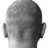 Singaasanaa's profile image