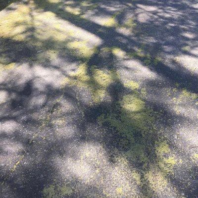 3ran7d0m's profile picture. ㅜㅜ