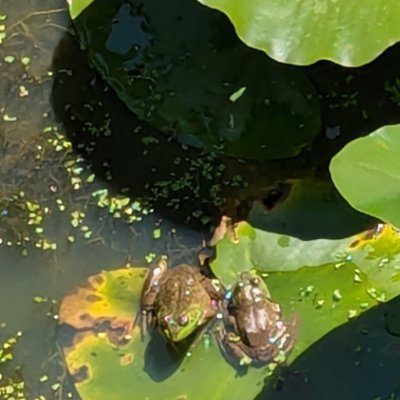 feedsIfollow's profile picture. this is a feed I'm using to survey response to our ever shifting world. Pointless of you to follow