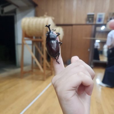 shienwei537's profile picture. 和大教育76期 わだにゃんガチ恋勢